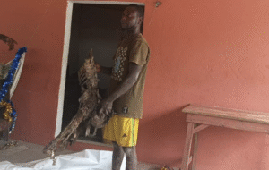 RITUAL KILLING